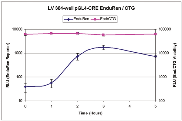 Fig. 3: Coupled Renilla reporter activity with cell viability in 384-well format. The kinetic proﬁle of a Renilla reporter gene is correlated with the overall cell number.