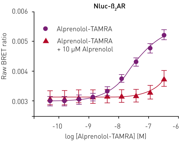 Fig. 3: Saturation binding experiment using HEK293 cells expressing Nluc-ß2AR with increasing concentrations of alprenolol-TAMRA (black) and with increasing concentrations of alprenolol-TAMRA in the presence of a high concentration of unlabelled alprenolol (red). Data previously published in Stoddart et al.3