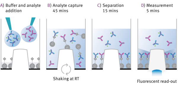 Fig. 2: Assay workﬂow.