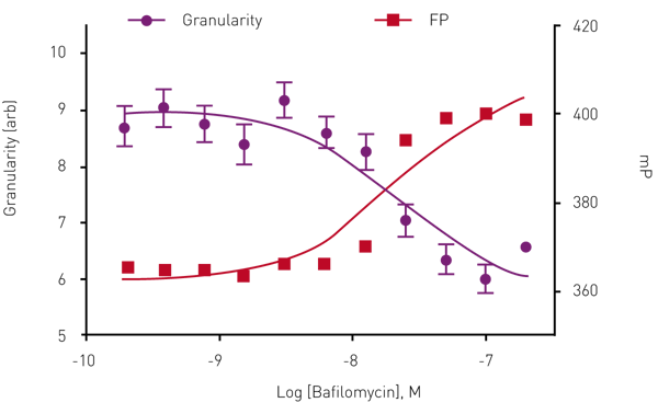 Fig. 3: Dose response to Baﬁlomycin in Insulin Granule Packing Assay. Analysis show an anti-correlation between homoFRET- FP signal and mCherry granularity.