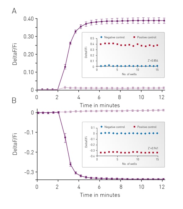 Fig. 3: Green-cADDis sensor kinetics for (A) upward sensor and (B) downward sensor in response to isoproterenol Mean +/- std; n = 15 wells. Inset: Gs assay performance in 96-well plate. For (A) Upward sensor Z’ factor is 0.854. For (B) downward- sensor Z’ factor is 0.941.