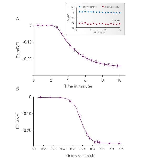 Fig. 4: (A) Kinetic measurements of D2 mediated Gi signaling using green—cADDis sensor and the D2 speciﬁc agonist Quinpirole. Mean +/- SEM; n = 12 wells. Insert, Gi assay performance in 96-well plate. Z’ factor is 0.741. (B) Dose response to Quinpirole. EC50 is 5.7 nM. Mean +/- SEM. n = 6 wells / condition.