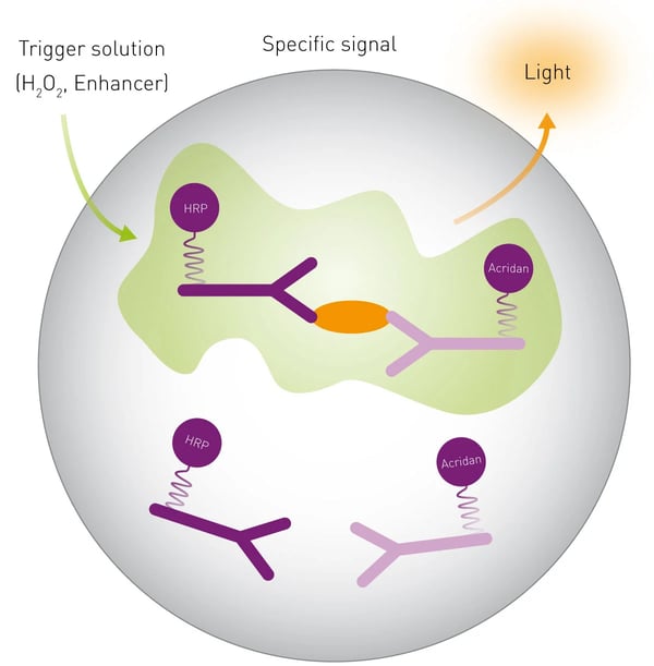 Fig. 1: Mechanistic Scheme of SPARCL Technology.
