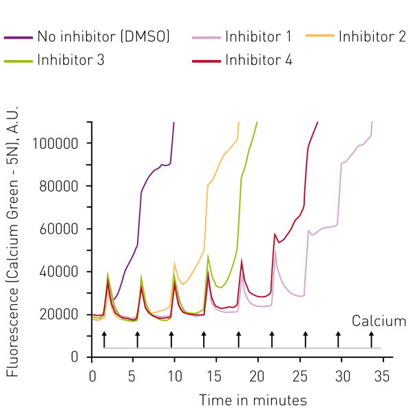 Fig 3: Concentration dependent response of the MPTP inhibitor in the CRC assay. Inhibitor was tested at 8 different concentrations 50 – 0.39 µM (with serial dilution).
