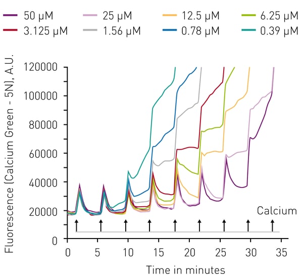 Fig. 2: Challenging isolated mitochondria with injections of CaCl2 leads to ﬂuorescent spikes until collapse of the mitochondrial permeability transition pore (MPTP) which is indicated by permanent high ﬂuorescence value. Time to maximum ﬂuorescence correlates with inhibition of MPTP.