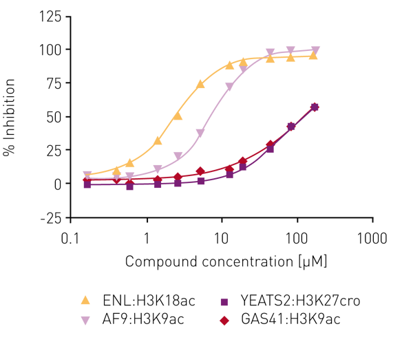Fig. 4: Dose response curves and IC50 values for the most potent and selective hit from the library screen and all four human YEATS domains.