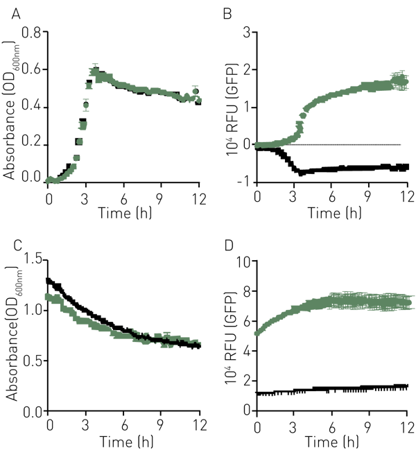 Fig. 1: Absorbance (A) and Fluorescence intensity proﬁle (B) of GFP+ GBS (green) and GFP- GBS (black) grown in CDM media, or Absorbance (C) and Fluorescence proﬁles (D) of stationary phase cells in a standard buffer (PBS).