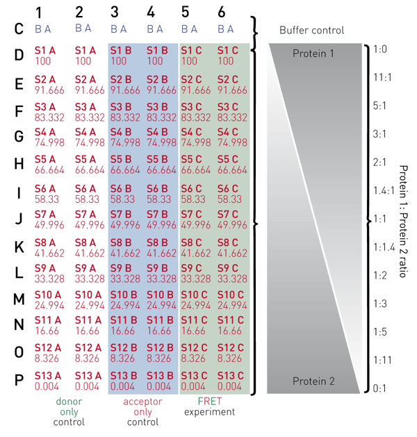 Fig. 2: 384-well plate preparation layout.