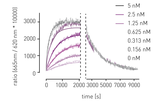 Fig. 2: Tracer Characterization. Association was monitored by TR-FRET after combining Tb-labelled kinase and a fluorescent kinase tracer. Dissociation was recorded after addition of excess staurosporine to the tracer sample.