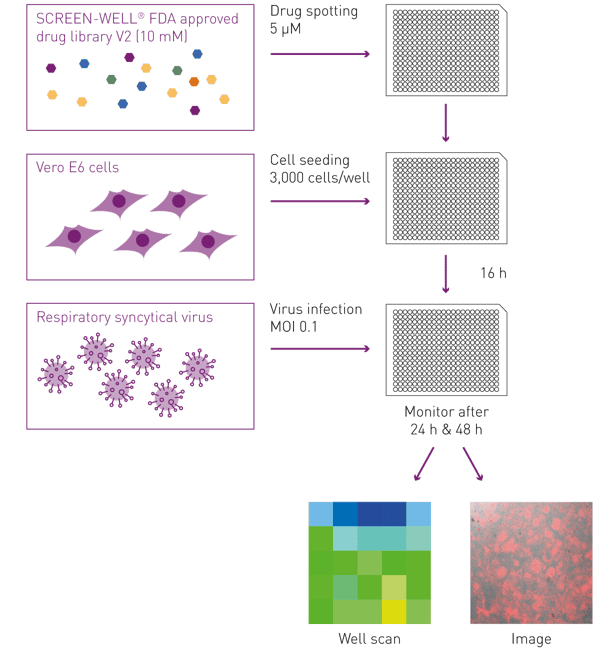 Fig. 1: Assay Principle