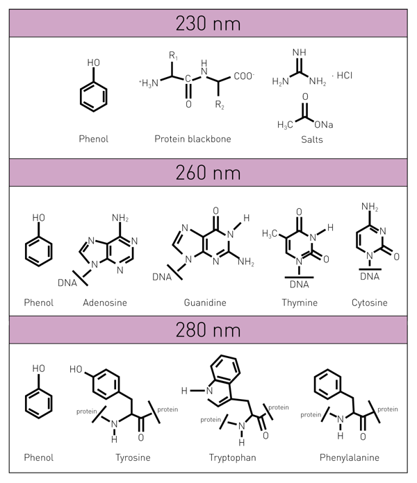 Table 1: Absorbance of nucleobases and potential contaminants