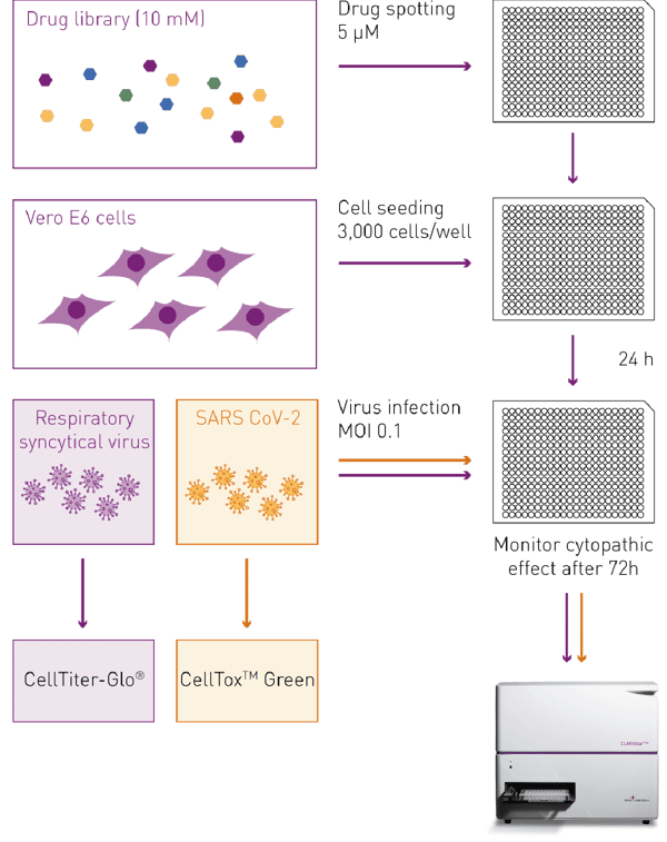 Fig. 2: Assay Principle: Screening for viral cytopathic effect.