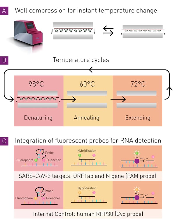 Fig. 1: Assay principle of the NextGenPCR with fluorometric readout. Materials & Methods