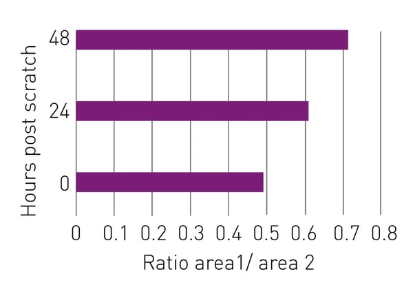 Fig. 4: Ratio of average luminescence (area 1/area 2)