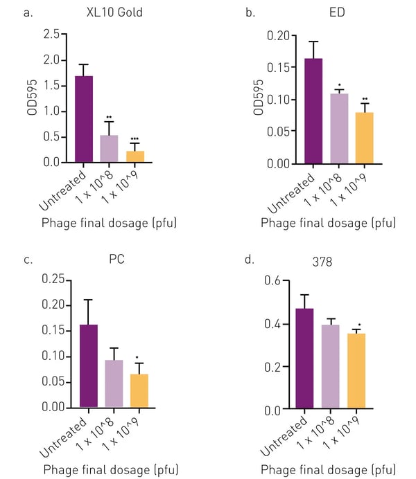 Fig. 2: Crystal violet biofilm assay: Biofilm biomass was measured (OD 595) and the mass of E. coli biofilm of XL10 Gold (A), ED (B), PC (C) and 378 (D) strains was determined compared to untreated control to test for antibacterial properties