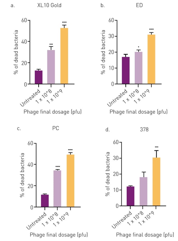 Fig. 3: Live/Dead viability assay: The percentage of dead cells in XL10 Gold (A), ED (B), PC (C), and 378 (D) cultures was determined by cell counting using a confocal laser microscope to assess antibacterial properties.