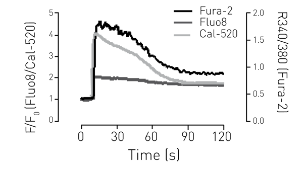Fig. 2: Intracellular Ca2+ measurements in a 96-well plate using various calcium dyes. HUVECs were loaded with the indicated dyes and stimulated with histamine.