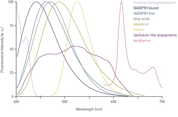 Fig. 4: Fluorescence emission spectra of endogenous fluorophores responsible for autofluorescence in cell-based assays.