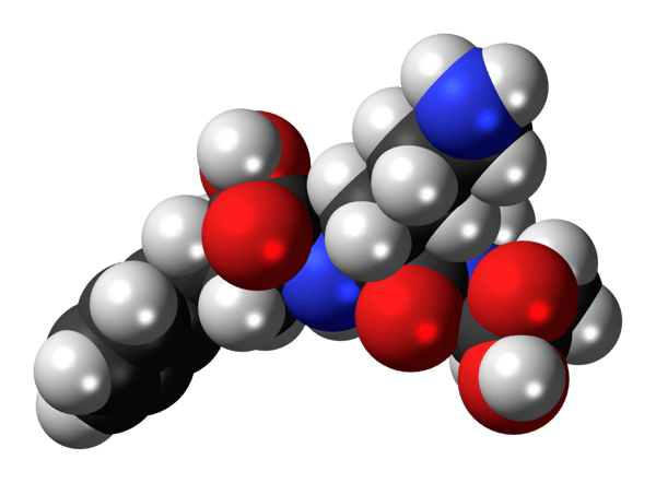 Fig. 2: Space filling of lisinopril an ACE inhibitor.