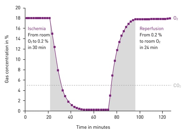 Fig. 5: Example of ischemia-reperfusion atmospheric conditions in the CLARIOstar microplate reader with ACU. O2 and CO2 levels were regulated as deﬁned in the reader software.