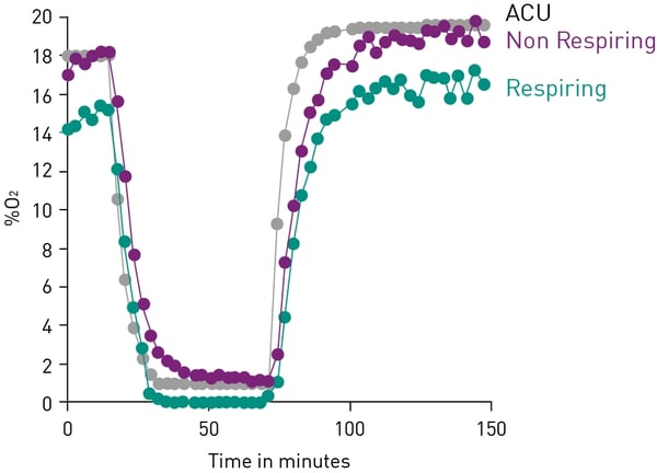 Fig. 6: Intracellular oxygen concentration in an I/R experiment. Liver cells (HepG2) were monitored under various conditions. Respiring cells = untreated HepG2 cells, non-respiring cells = antimycin treated, uncoupled cells = FCCP treated.