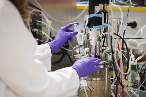 Fig. 2: Taking a sample from a yeast fermentation.