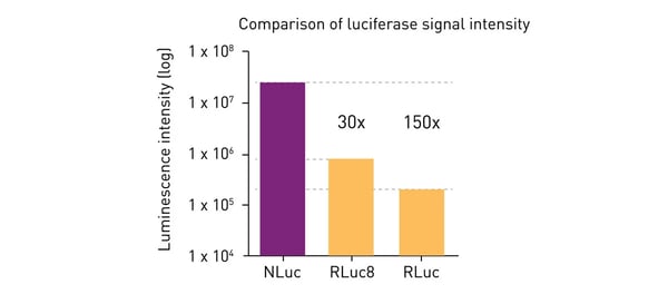 Fig. 4: Comparison of the emission intensity of Nanoluciferase (Nluc), Rluc and a modified Rluc (Rluc8).
