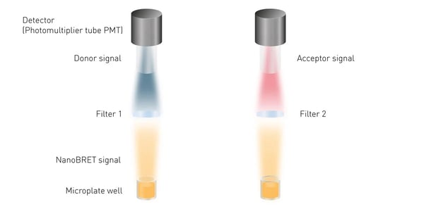 Fig. 8: Simplified schematic of a NanoBRET detection system in a microplate reader. For BRET and NanoBRET assays two optic filters are required to discern between donor and acceptor.
