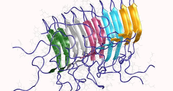 Fig. 4: Prion proteins aggregated in amyloid form. Authors: Wasmer, C., Lange, A., Van Melckebeke, H., Siemer, A., Riek, R., Meier, B.H. Source: https://www.rcsb.org/structure/2rnm