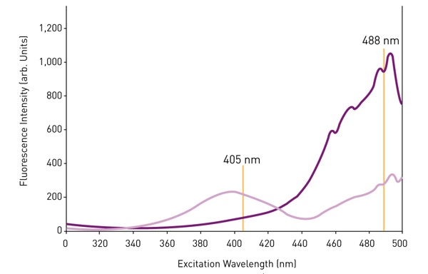 Fig. 1: Redox-dependent changes in the excitation spectrum of roGFP2. Purple curve = fully reduced roGFP2. Pink curve = fully oxidised roGFP2.