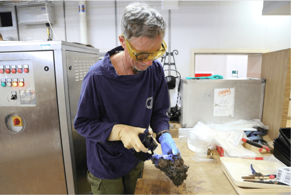 Fig. 1: Peter Karuso collected 20.5 tonnes of sponge and preserved 1,551 sponge tissue samples.