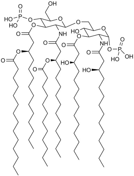 Fig. 3: Chemical structure of the Lipid A of E. Coli endotoxin.2
