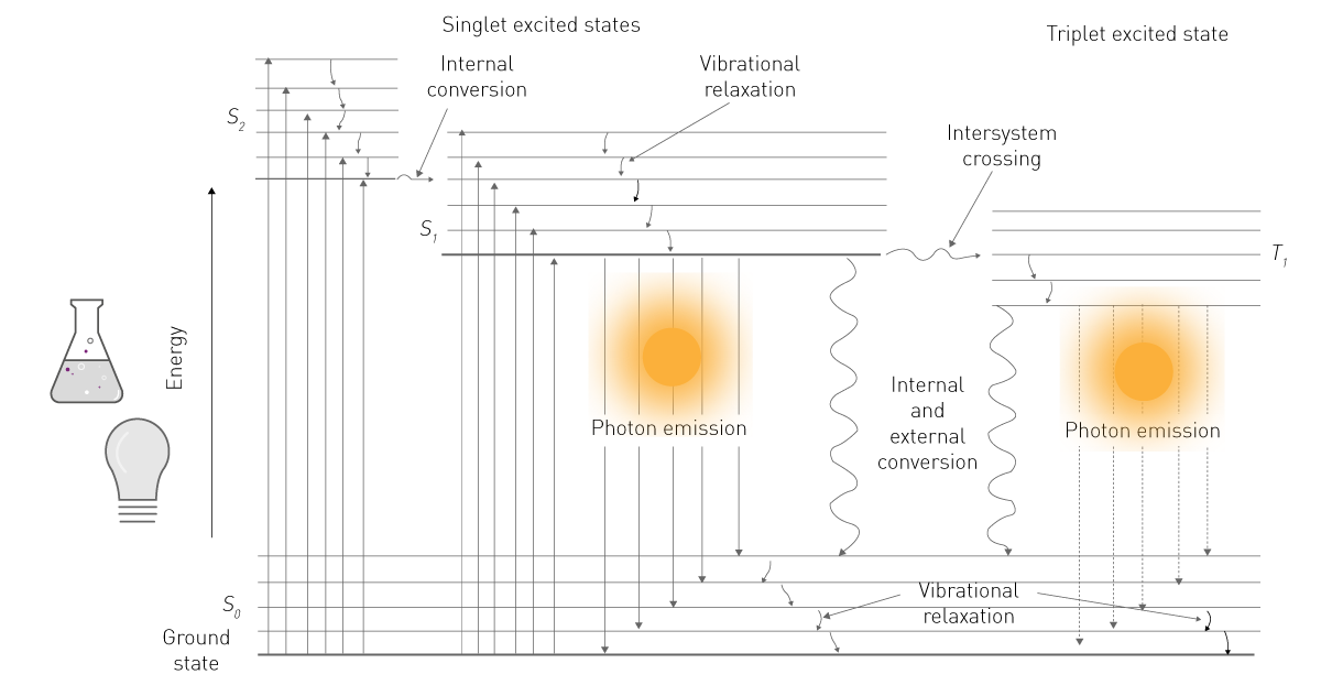 Comparison of fluorescence stability as influenced by temperature