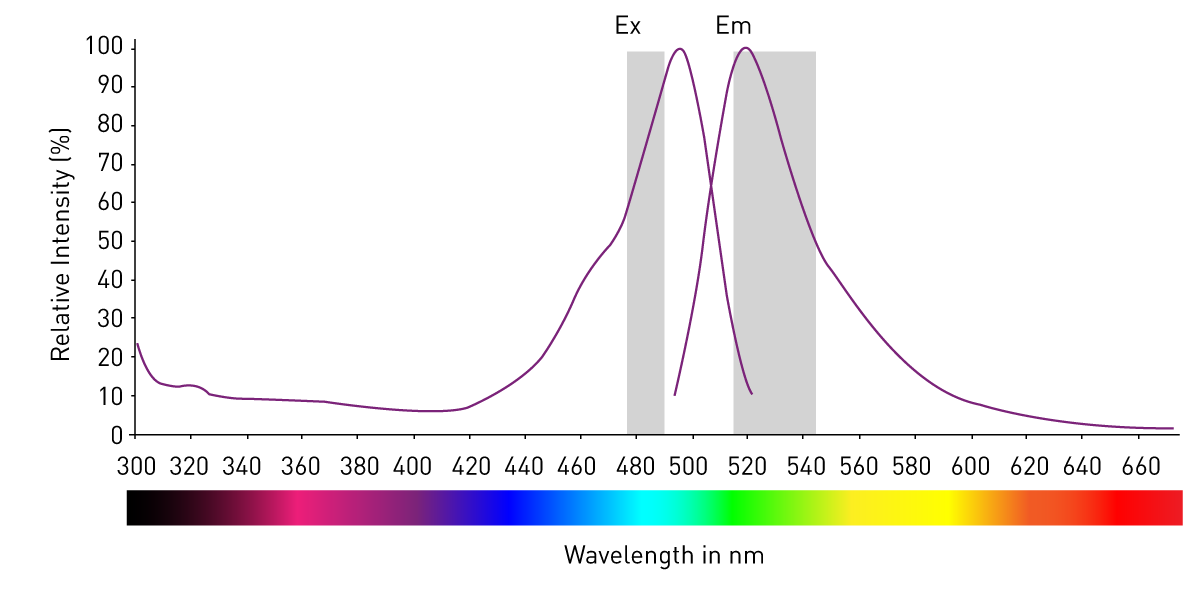 InTENSity 10 - Spectrum Medical