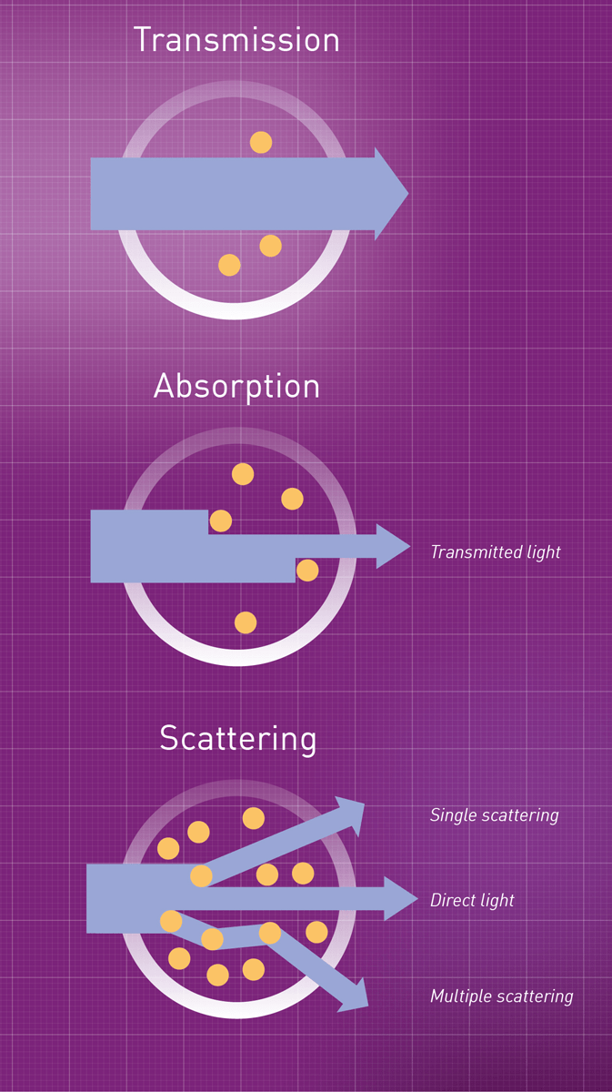 Mean change in levels of serum proteins, including total protein