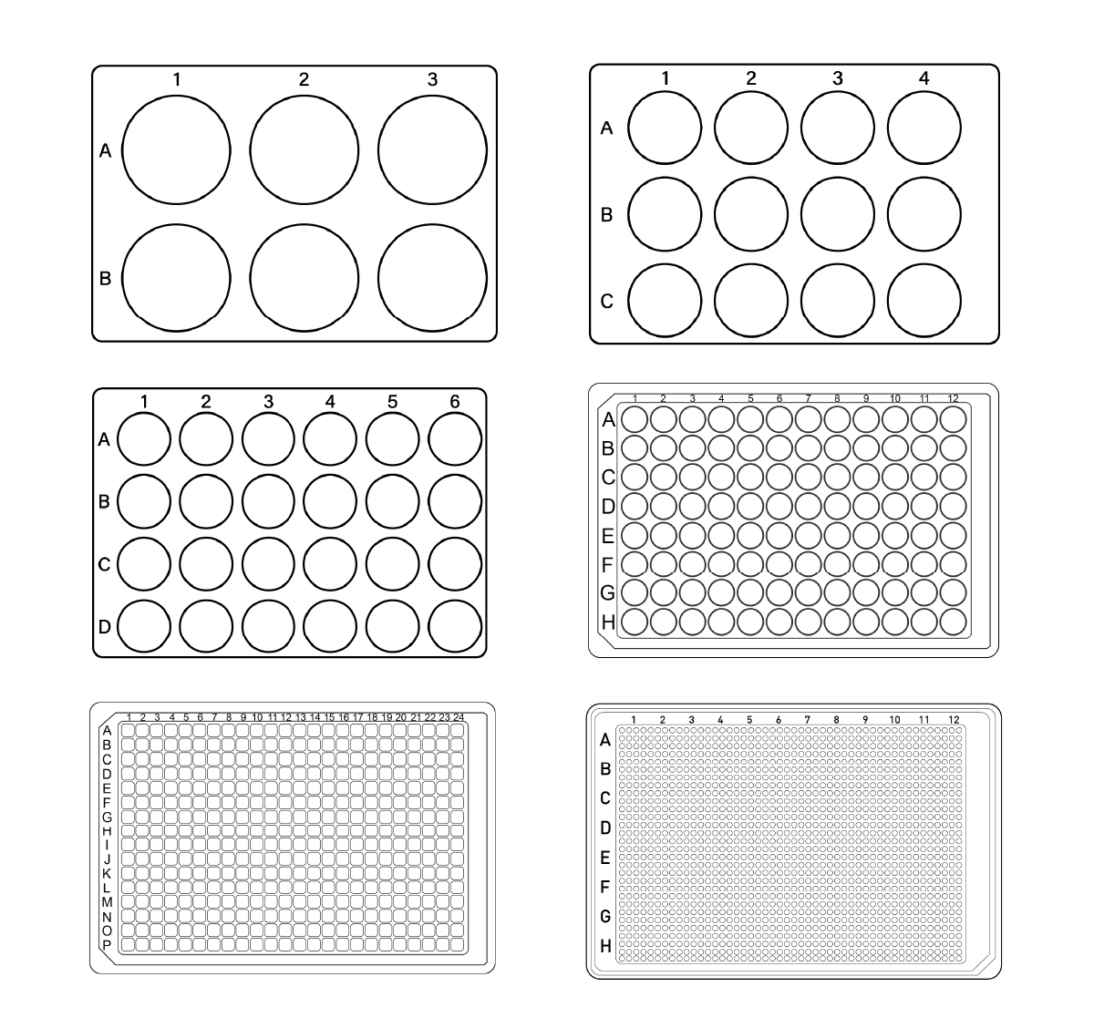 Fig. 2: Different microtiter plate layouts.