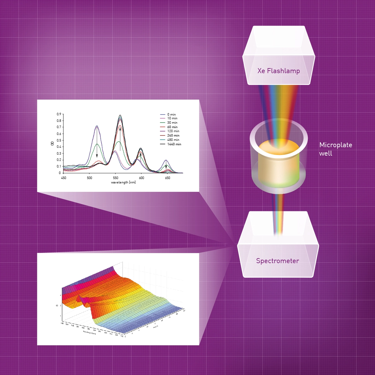 Fig. 1: The UV/vis spectrometer captures the entire UV/vis spectrum of a sample in less than one second, instead of detecting individual wavelengths sequentially.
