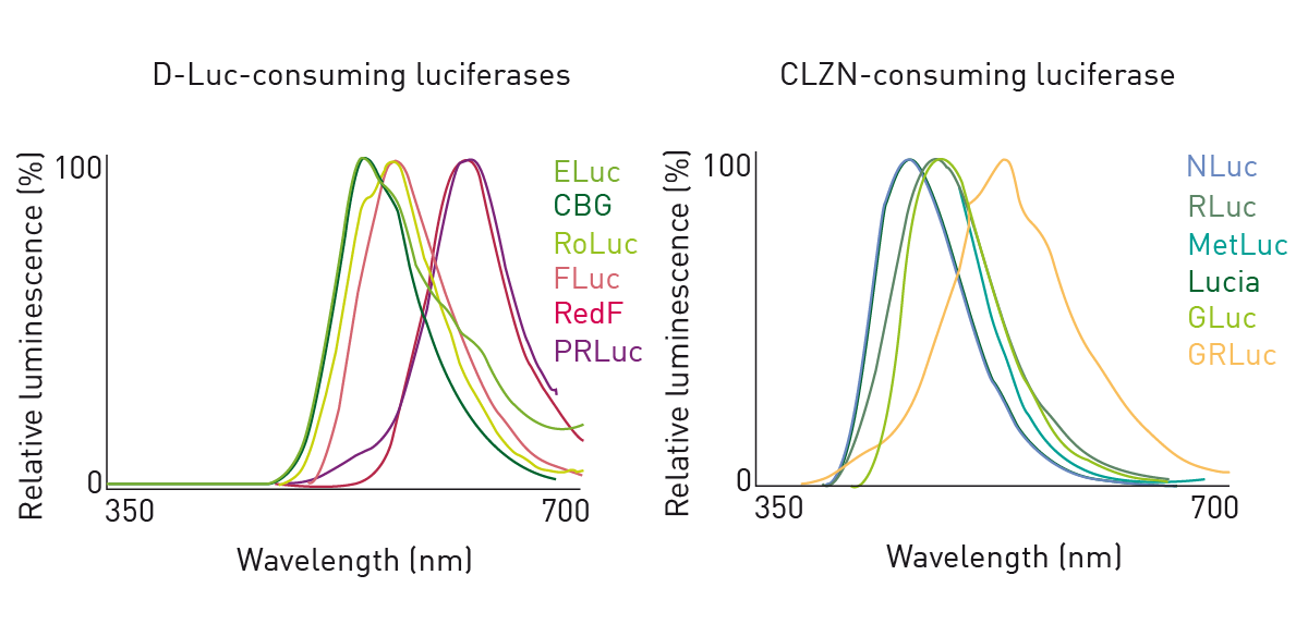 Fig. 2: Emission spectra for 6 D-LUC- and CLZN-consuming luciferases each.