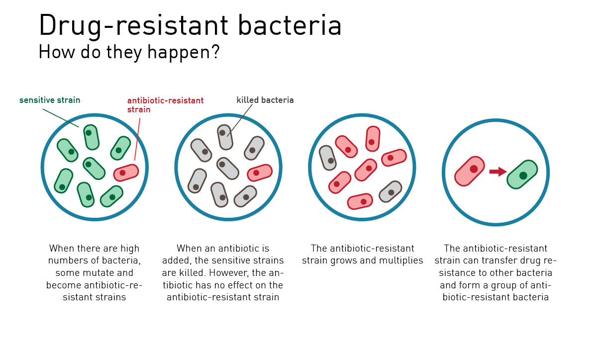 Natural Products as Platforms To Overcome Antibiotic Resistance