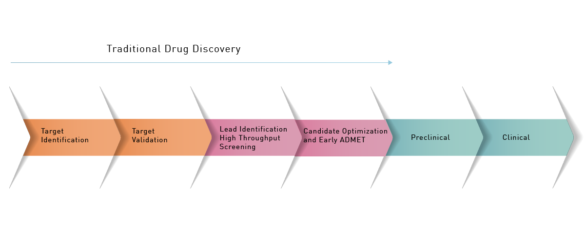 Fig. 1: Some of the stages in drug discovery and development.