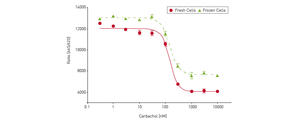  Fig. 12: Dose response curve of carbachol with cells from a growing culture (fresh cells) and from frozen cells.