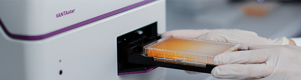 A person that puts in the microplate in the VANTAstar