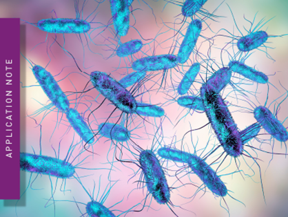 Determination of Minimum Inhibitory Concentration (MIC) of antibiotics using OD600