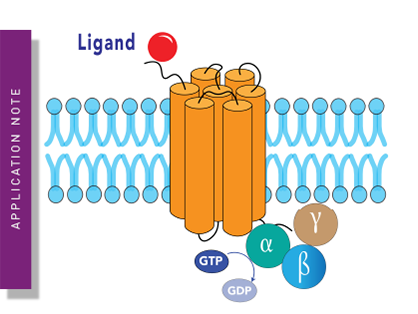 FRET-based screening for potential modulators of the Gαi1 protein/GoLoco interaction