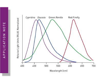 Illustration of different curves