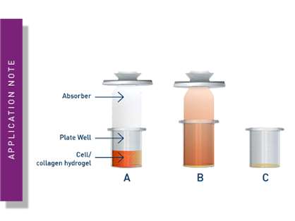 Measuring mitochondrial function and glycolytic flux in 3D cell cultures