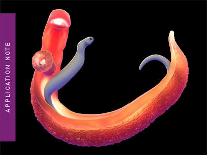 Assay development for essential enzyme activity in the tegument of live Schistosomes
