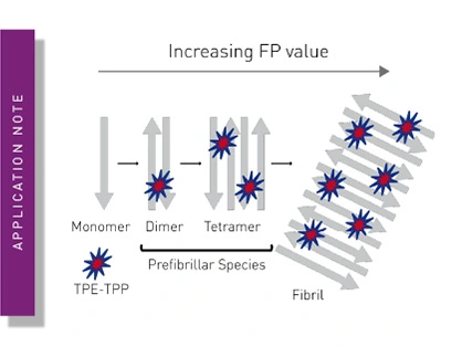 Novel aggregation-specific fluorogen monitors prefibrillar protein aggregation by fluorescence polarisation (FP)
