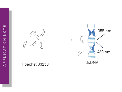 Quantifying double-stranded DNA with fluorescent dyes: Hoechst 33258 measured on a FLUOstar® Omega