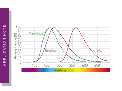 Measurement of red fluorescent dyes for improved multiplexing capabilities and cellular assays on the CLARIOstar® Plus